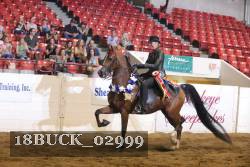 18BUCK_02999 thumbnail