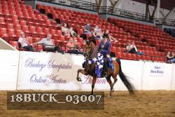 18BUCK_03007 thumbnail