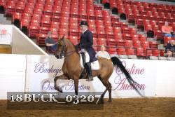18BUCK_03207 thumbnail