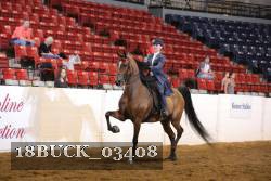 18BUCK_03408 thumbnail