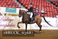 18BUCK_03687 thumbnail