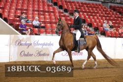 18BUCK_03689 thumbnail