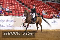 18BUCK_03697 thumbnail