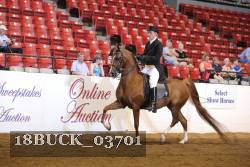 18BUCK_03701 thumbnail