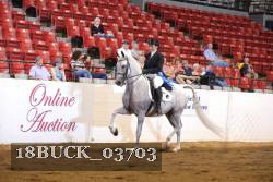 18BUCK_03703 thumbnail