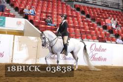 18BUCK_03838 thumbnail