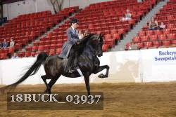 18BUCK_03937 thumbnail