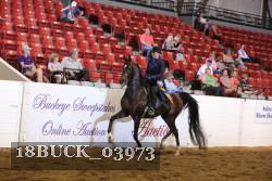 18BUCK_03973 thumbnail