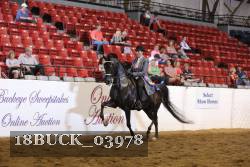 18BUCK_03978 thumbnail