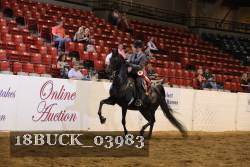 18BUCK_03983 thumbnail