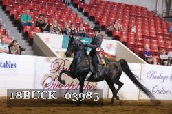 18BUCK_03985 thumbnail