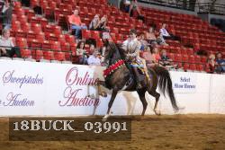 18BUCK_03991 thumbnail