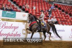 18BUCK_03992 thumbnail