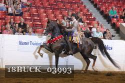18BUCK_03993 thumbnail