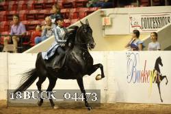 18BUCK_04473 thumbnail