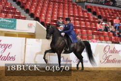 18BUCK_04670 thumbnail