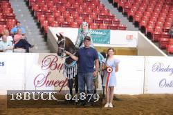 18BUCK_04879 thumbnail