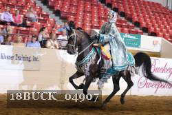 18BUCK_04907 thumbnail