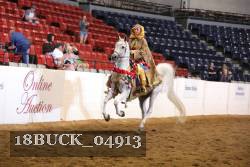18BUCK_04913 thumbnail