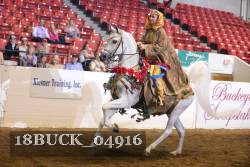 18BUCK_04916 thumbnail