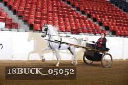 18BUCK_05052 thumbnail