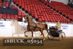 18BUCK_05054 thumbnail