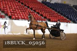 18BUCK_05056 thumbnail