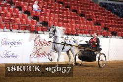 18BUCK_05057 thumbnail