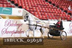 18BUCK_05058 thumbnail