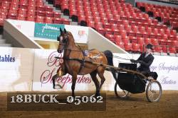 18BUCK_05062 thumbnail