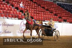 18BUCK_05066 thumbnail