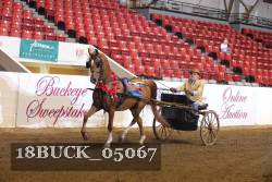 18BUCK_05067 thumbnail