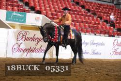 18BUCK_05331 thumbnail