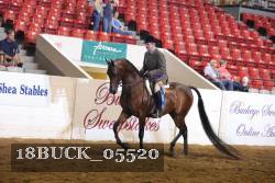 18BUCK_05520 thumbnail