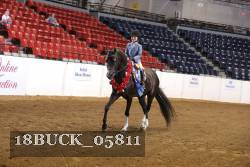 18BUCK_05811 thumbnail