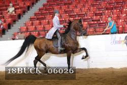 18BUCK_06026 thumbnail
