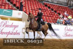 18BUCK_06032 thumbnail