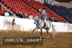 18BUCK_06087 thumbnail