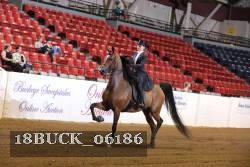 18BUCK_06186 thumbnail