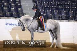 18BUCK_06250 thumbnail