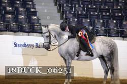 18BUCK_06251 thumbnail