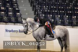 18BUCK_06252 thumbnail