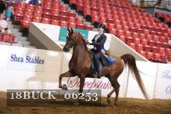18BUCK_06253 thumbnail