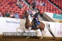 18BUCK_06258 thumbnail