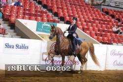 18BUCK_06262 thumbnail