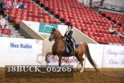 18BUCK_06266 thumbnail