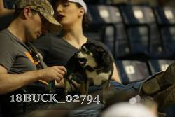 18BUCK_02794 thumbnail