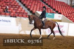 18BUCK_05761 thumbnail