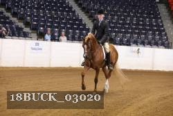 18BUCK_03020 thumbnail