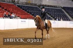 18BUCK_03021 thumbnail